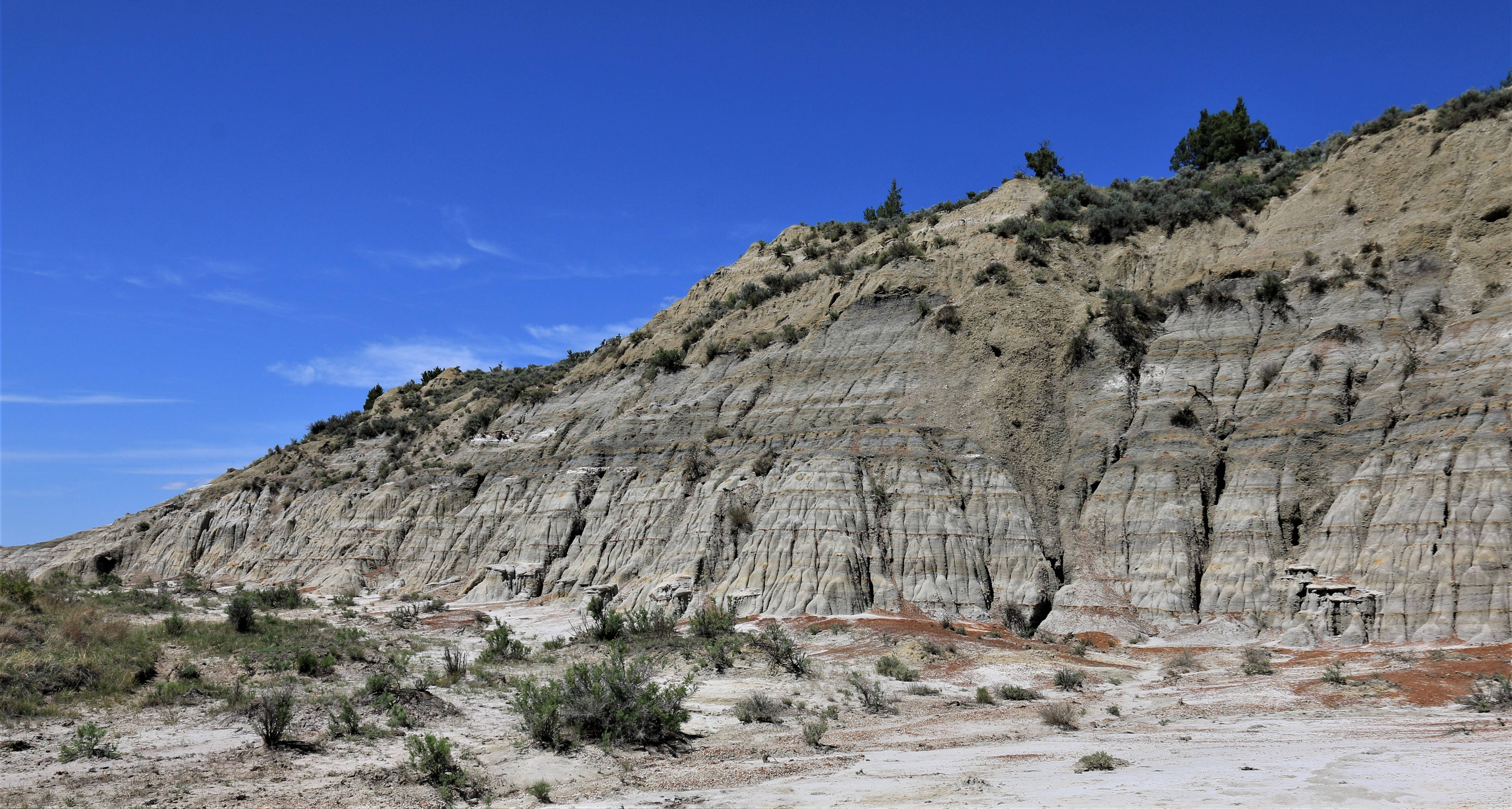 Theodore Roosevelt NP
